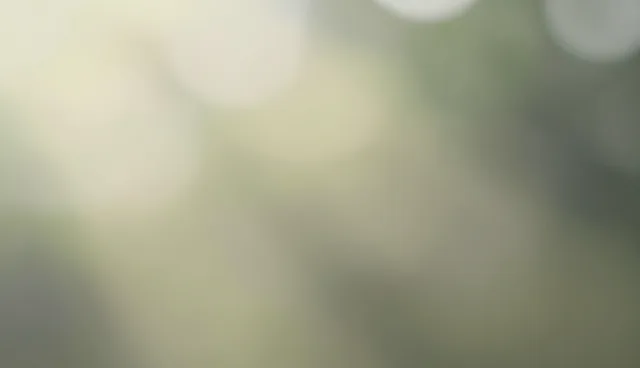品牌推广套餐的性能评估误区与实际应用分析